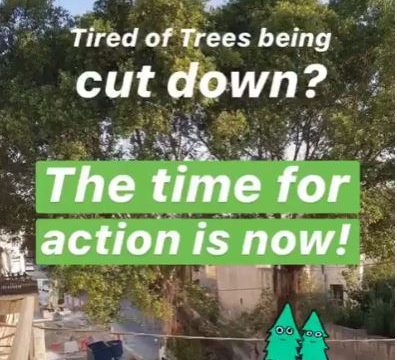 20180704 - treesdirectaction2 Direct action to stop tree cutting