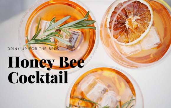 Welcome Spring and its busy pollinators with our Honey Bee Cocktail !