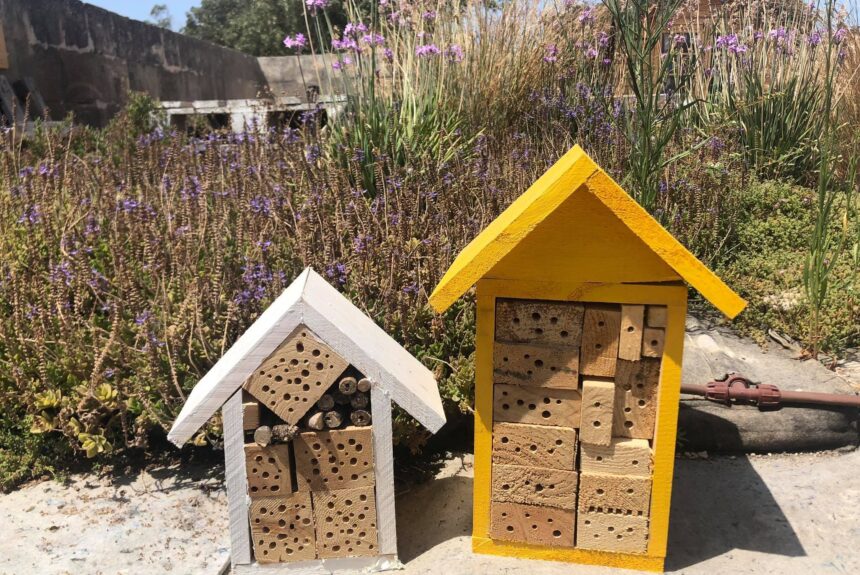 203582085_1228019090965164_6202505409666966543_n Save the Bees and Win a Bee Hotel