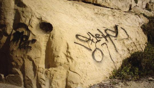 NGOs Condemn Dwejra vandalism