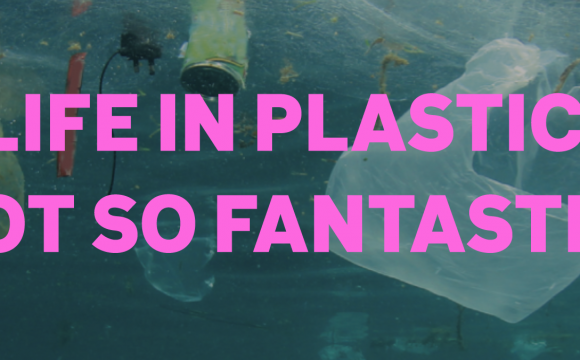 Life in plastic, not so fantastic Life in plastic, not so fantastic