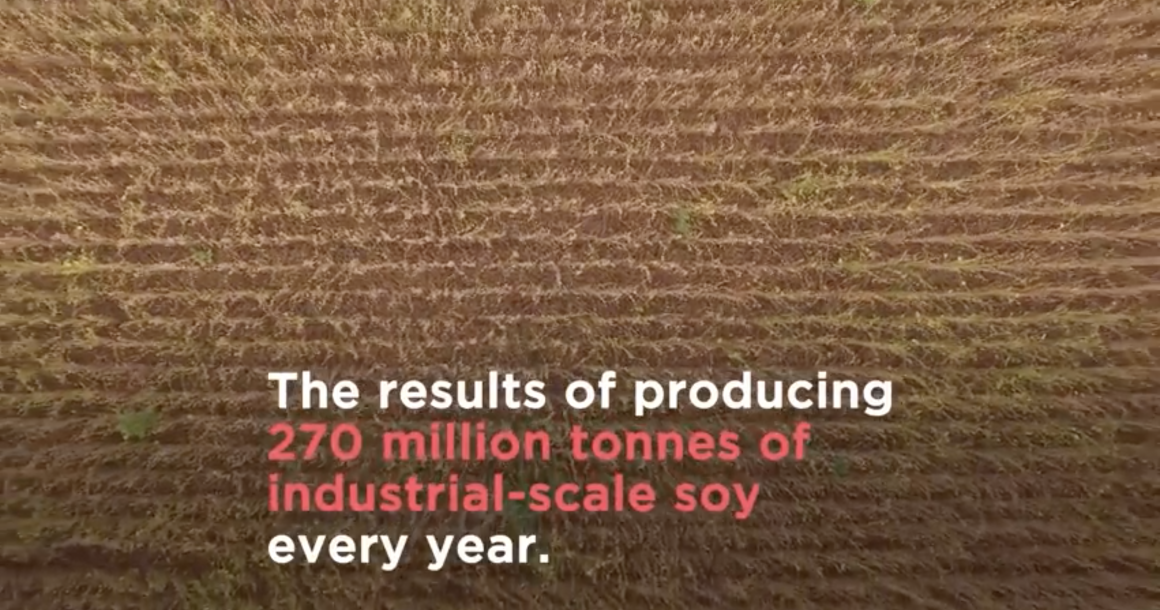 The EU Protein Plan: a chance to close the loop and have more localised food production? The EU Protein Plan: a chance to close the loop and have more localised food production?