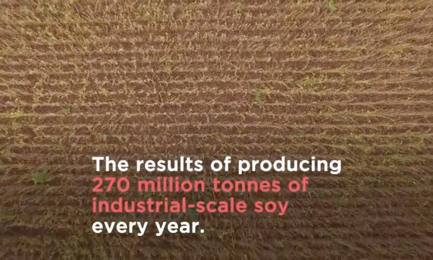 The EU Protein Plan: a chance to close the loop and have more localised food production? The EU Protein Plan: a chance to close the loop and have more localised food production?