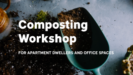 Composting Workshop